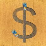 How the US-China Trade War is Devastating Minnesota’s Family Farms and Soybean Industry