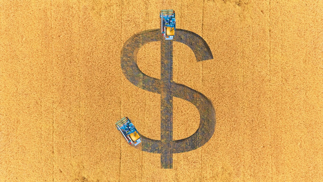 How the US-China Trade War is Devastating Minnesota’s Family Farms and Soybean Industry