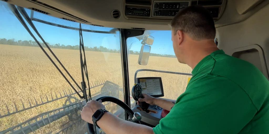 China Trade Freeze Hits US Soybean Farmers: Rising Costs, Vanishing Profits
