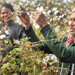 Market Turmoil Unpacked: How Trump’s Recent Moves Are Shaping Financial Markets