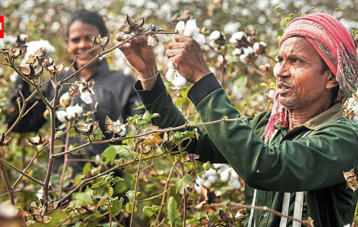 Market Turmoil Unpacked: How Trump’s Recent Moves Are Shaping Financial Markets