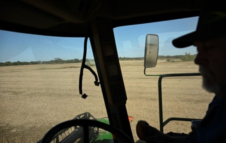 Trump’s Latest Moves Shake Markets: What Investors Need to Know Now