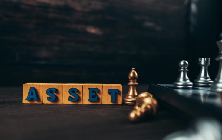 Beginner Roadmap: What Are Assets and Why They Matter in 2026