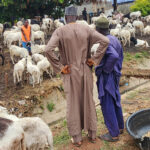 Nigeria’s Eid Spending Slashed as Inflation and High Food, Transport Costs Bite Hard