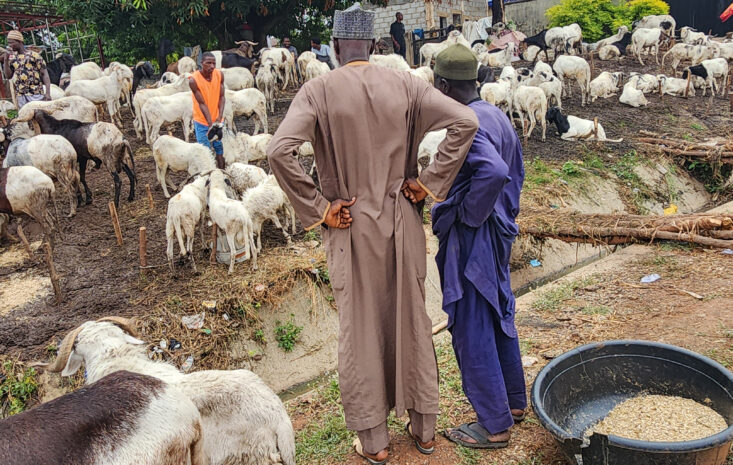 Nigeria’s Eid Spending Slashed as Inflation and High Food, Transport Costs Bite Hard
