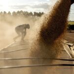 Hormuz Strait Reopens, Cooling Energy and Fertilizer Shocks Push Crop Futures Down