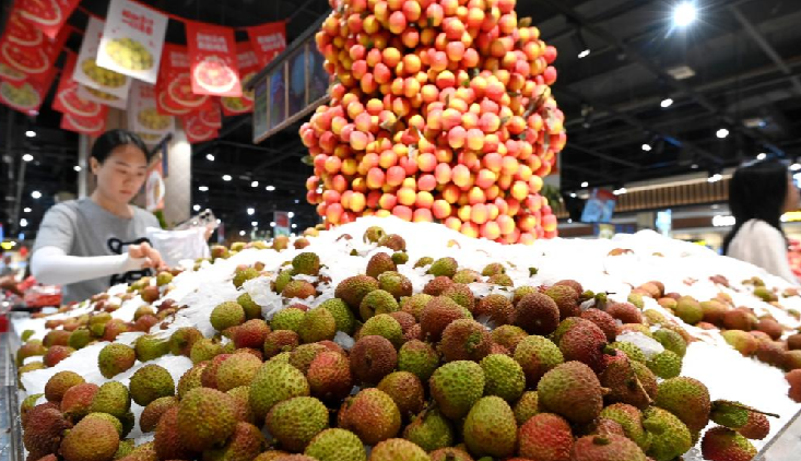 China’s Economy Holds Steady in 2026: High-Tech and Exports Shine Amid Soft Demand
