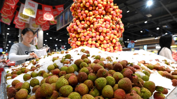 China’s Economy Holds Steady in 2026: High-Tech and Exports Shine Amid Soft Demand