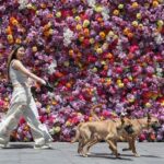 China’s $1 Trillion Loneliness Economy Signals Major Shift in Asian Consumption Patterns