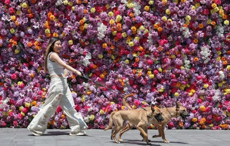 China’s $1 Trillion Loneliness Economy Signals Major Shift in Asian Consumption Patterns